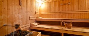 sauna éléments